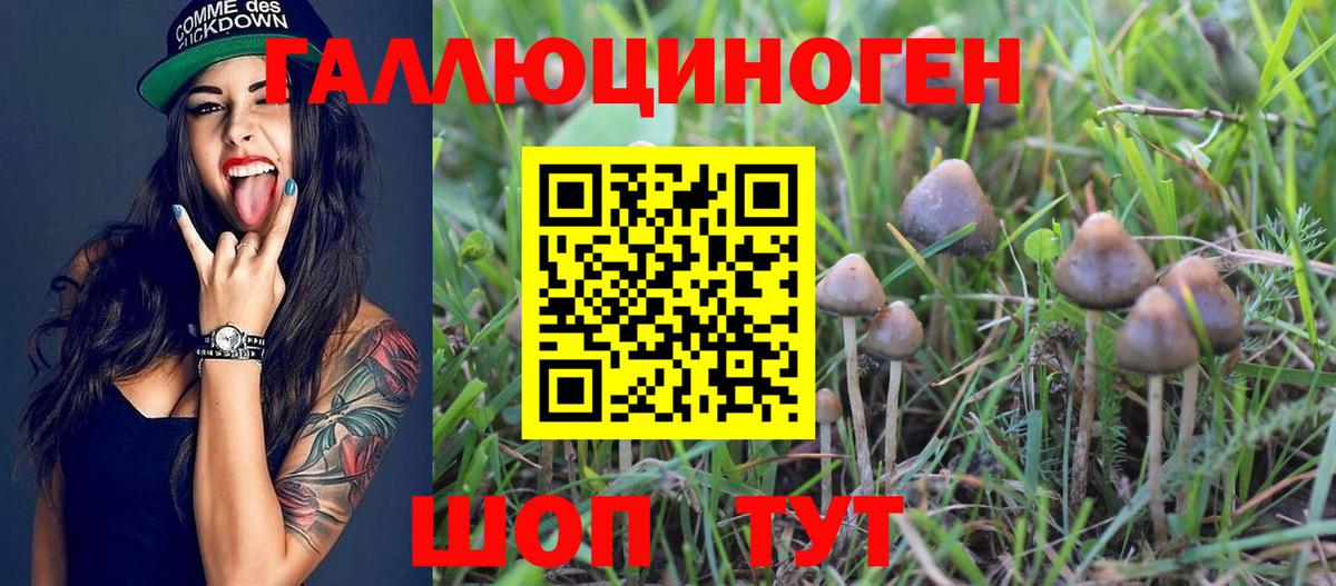 Галлюциногенные грибы мицелий Шелехов